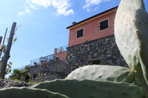 La casa di Sassolino Casarza Ligure